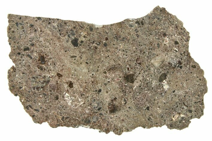 Polished Lunar Meteorite Slice ( g) - Tisserlitine #280681